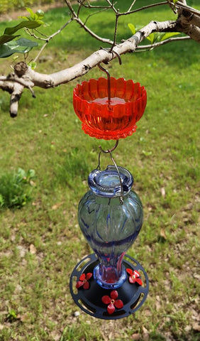 HOLAHOMA ant moat bowl-dish-set option adds versatility for seeds or water.