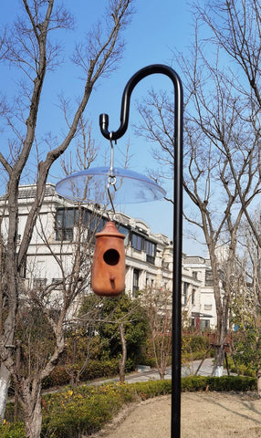 HOLAHOMA bright red dome visually attracts birds to the feeder.