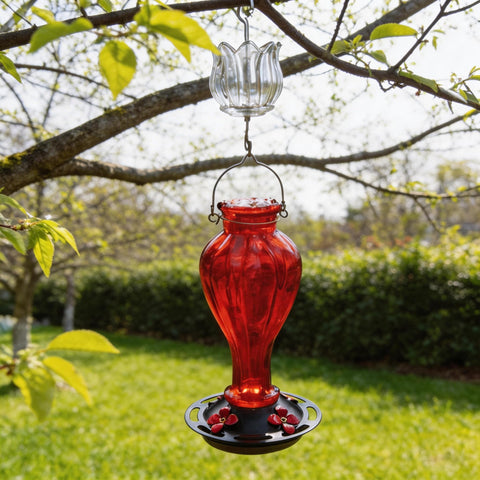 HOLAHOMA hummingbird feeder accessory adds elegant tulip style to garden.
