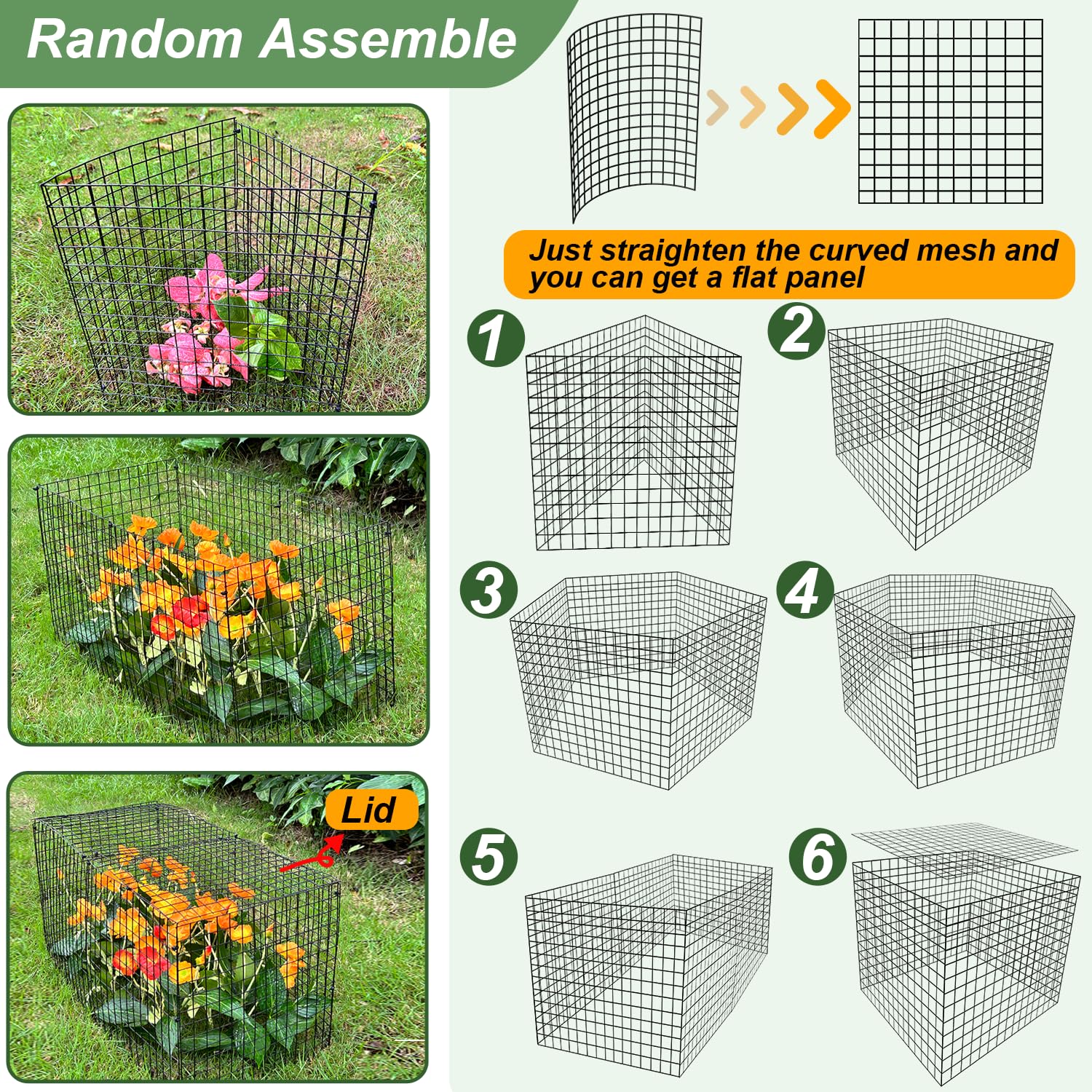 HOLANHING 13.4-inch cage provides generous space for growth.