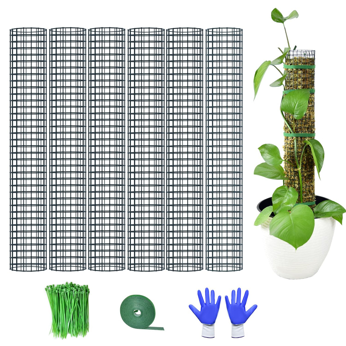 HOLANHING 24in moss pole 6-pack assembled for vertical plant support