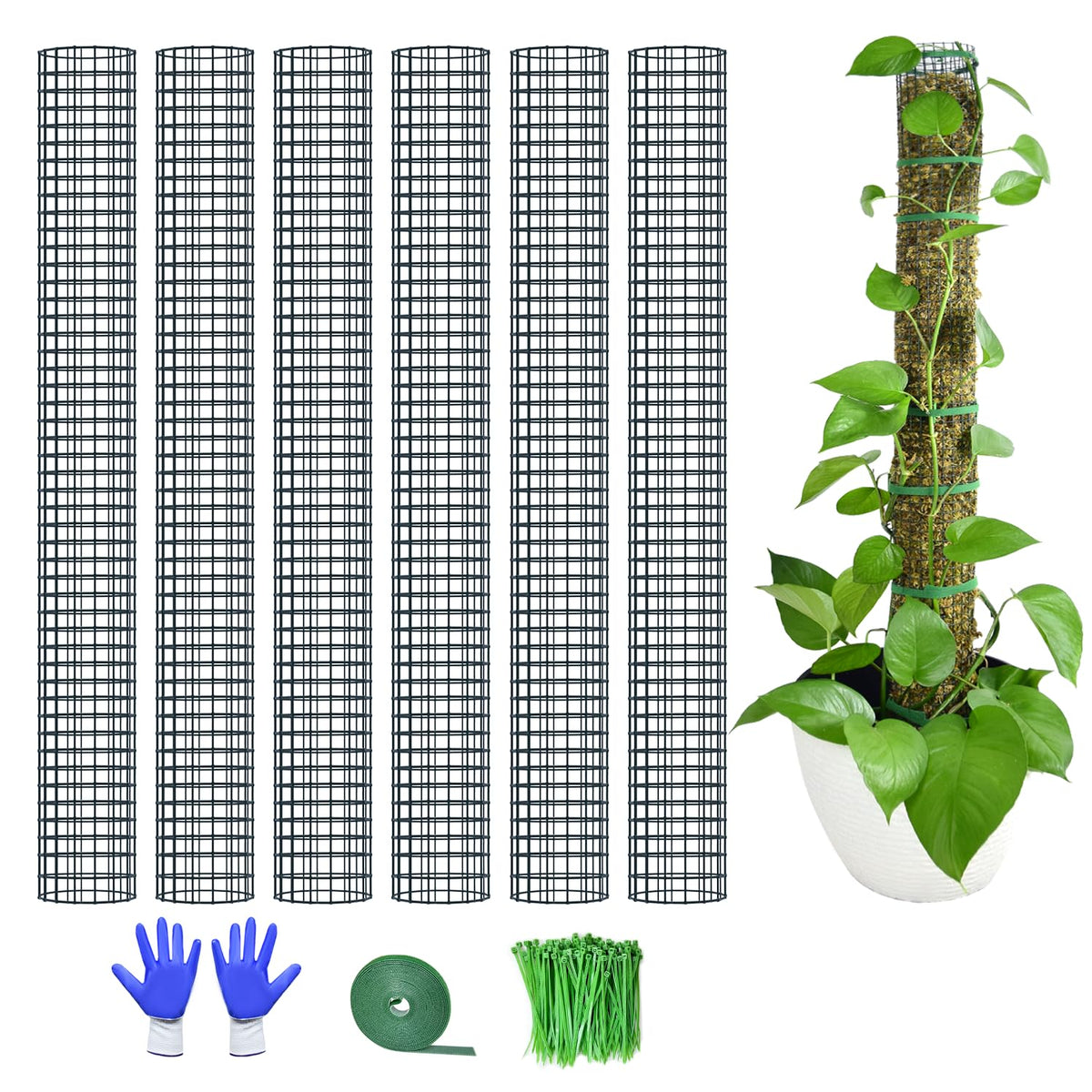 HOLANHING 40-inch moss pole in use supports climbing plants upward