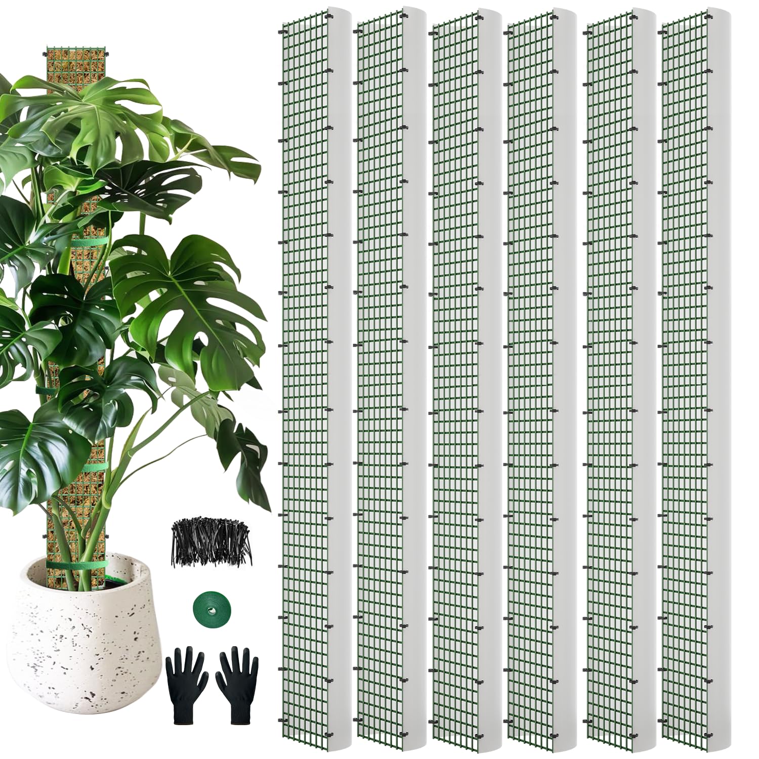 HOLANHING 60-inch D-shape moss pole with mesh for climbing plants