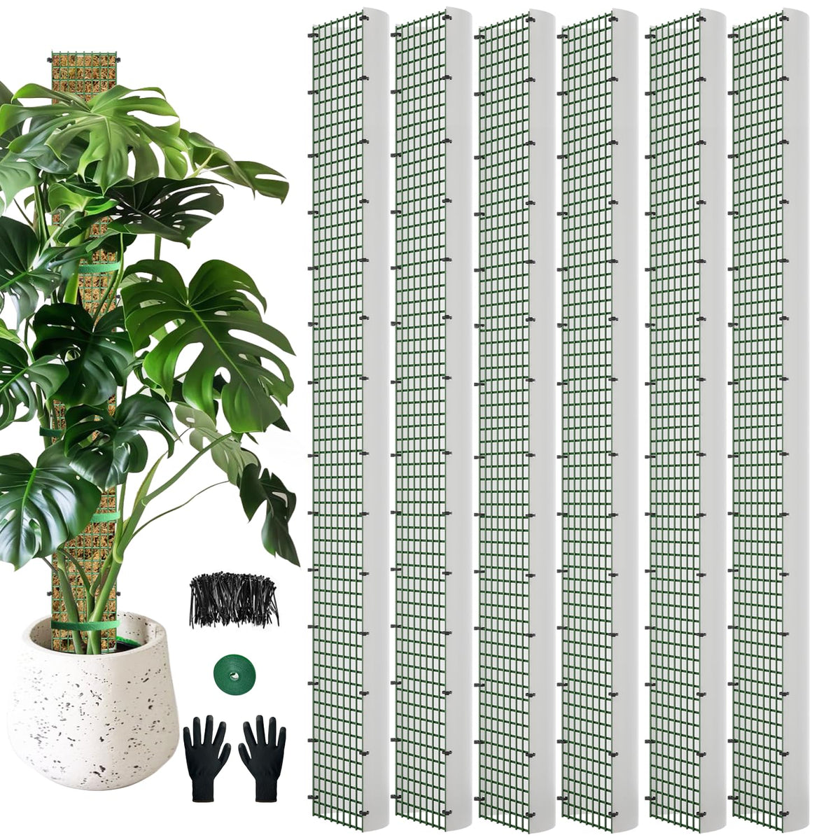 HOLANHING 60-inch D-shape moss pole with mesh for climbing plants