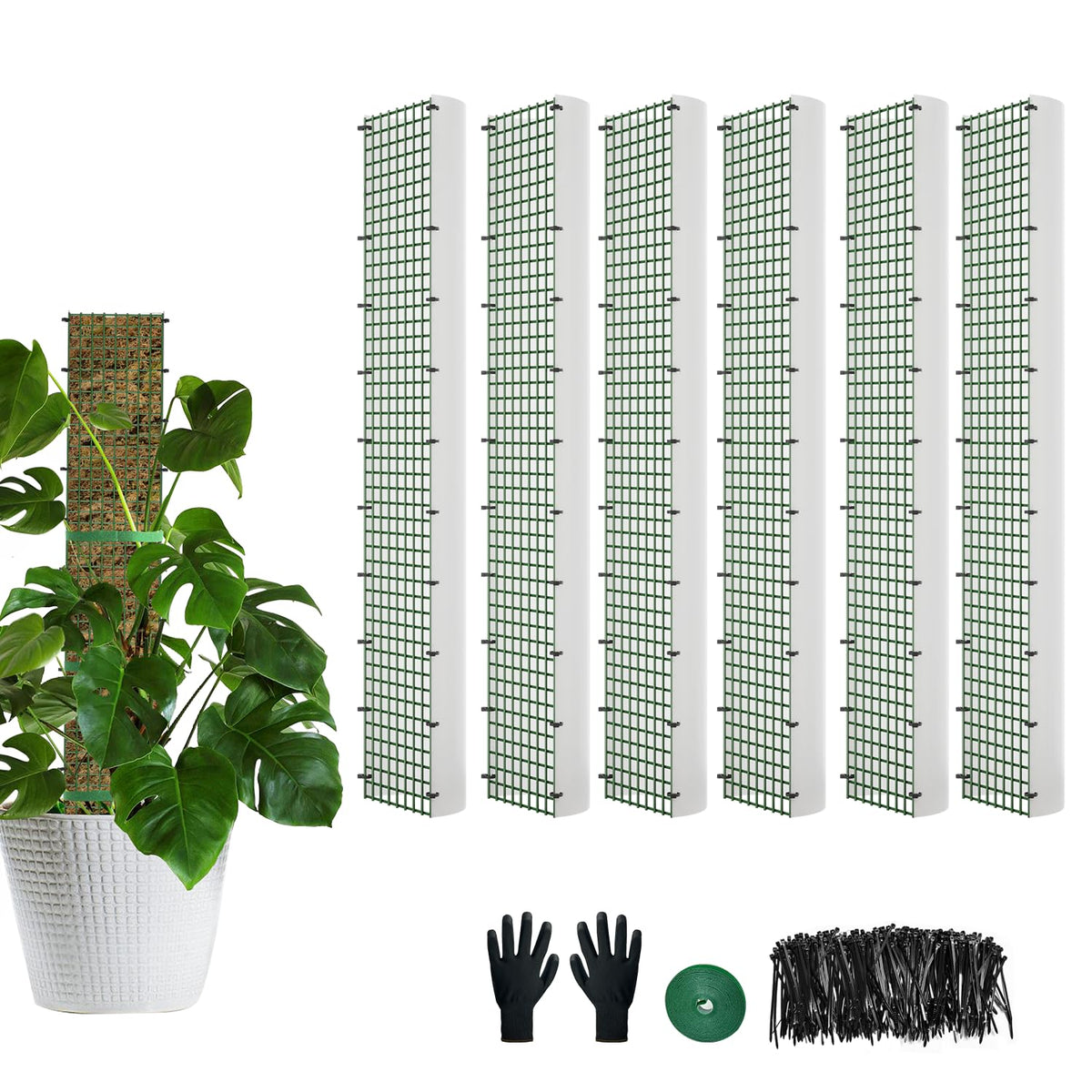 HOLANHING D-shape moss pole 24 inches supports Monstera climbing growth.