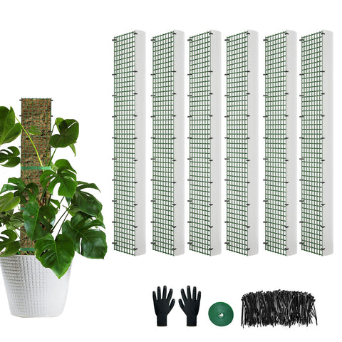 HOLANHING D-shape moss pole 24 inches supports Monstera climbing growth.