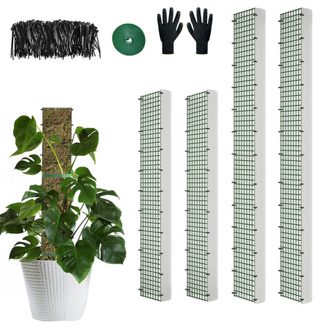 HOLANHING D Shape Moss Pole 40-inch overall view supports climbing plants