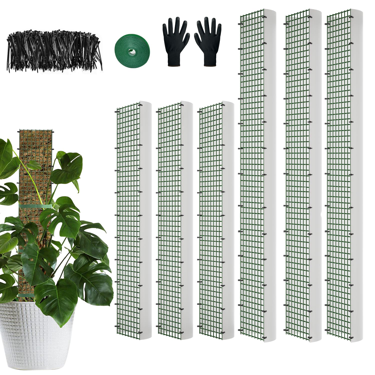 HOLANHING D Shape moss pole 40-inch for climbing plants.