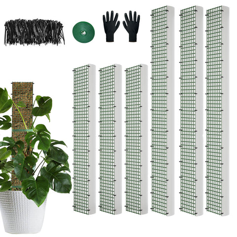 HOLANHING D Shape moss pole 40-inch for climbing plants.