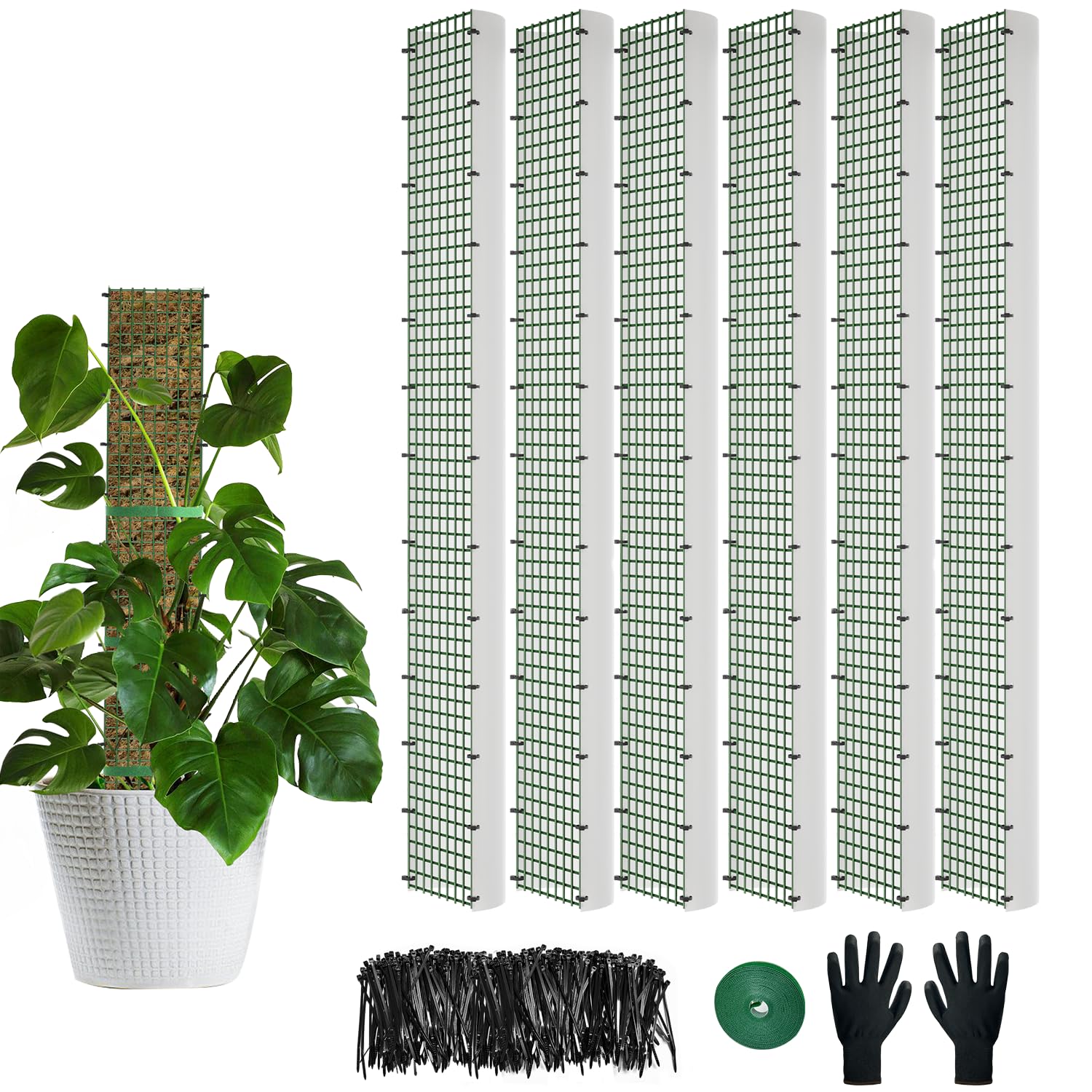 HOLANHING D-shape moss pole for 40-inch vertical growth and easy aerial roots