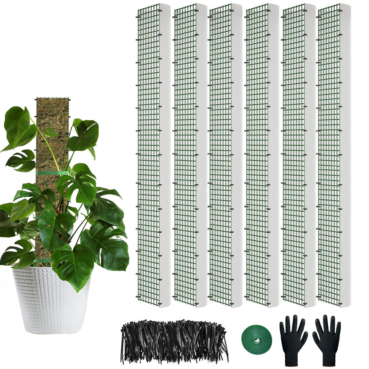 HOLANHING D-shape moss pole for 40-inch vertical growth and easy aerial roots