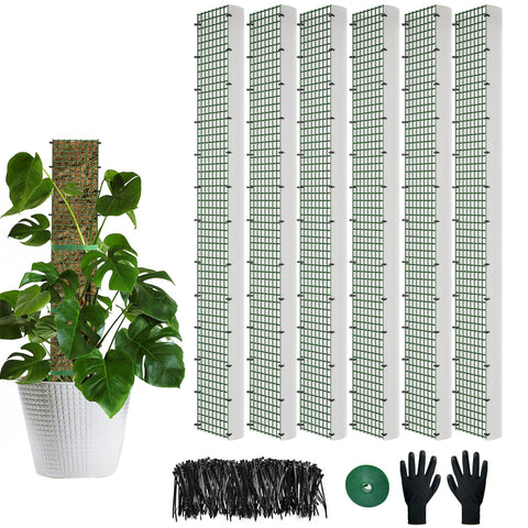 HOLANHING D-shape moss pole for 40-inch vertical growth and easy aerial roots