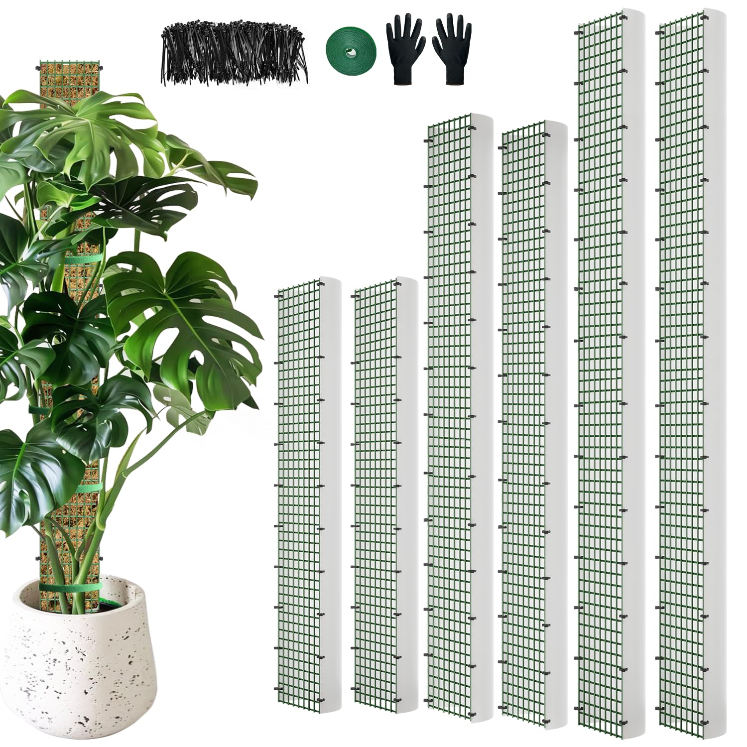 HOLANHING D Shape Moss Pole design showcases a semi cylindrical surface for aerial root attachment