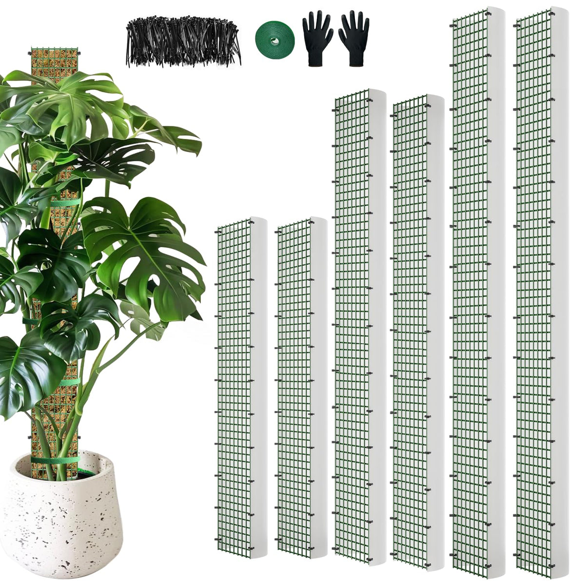 HOLANHING D Shape Moss Pole design showcases a semi cylindrical surface for aerial root attachment