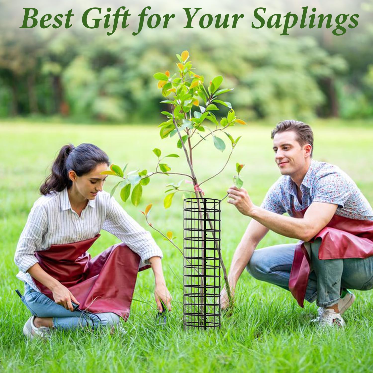 HOLANHING protects young trees from animals and mower contact.
