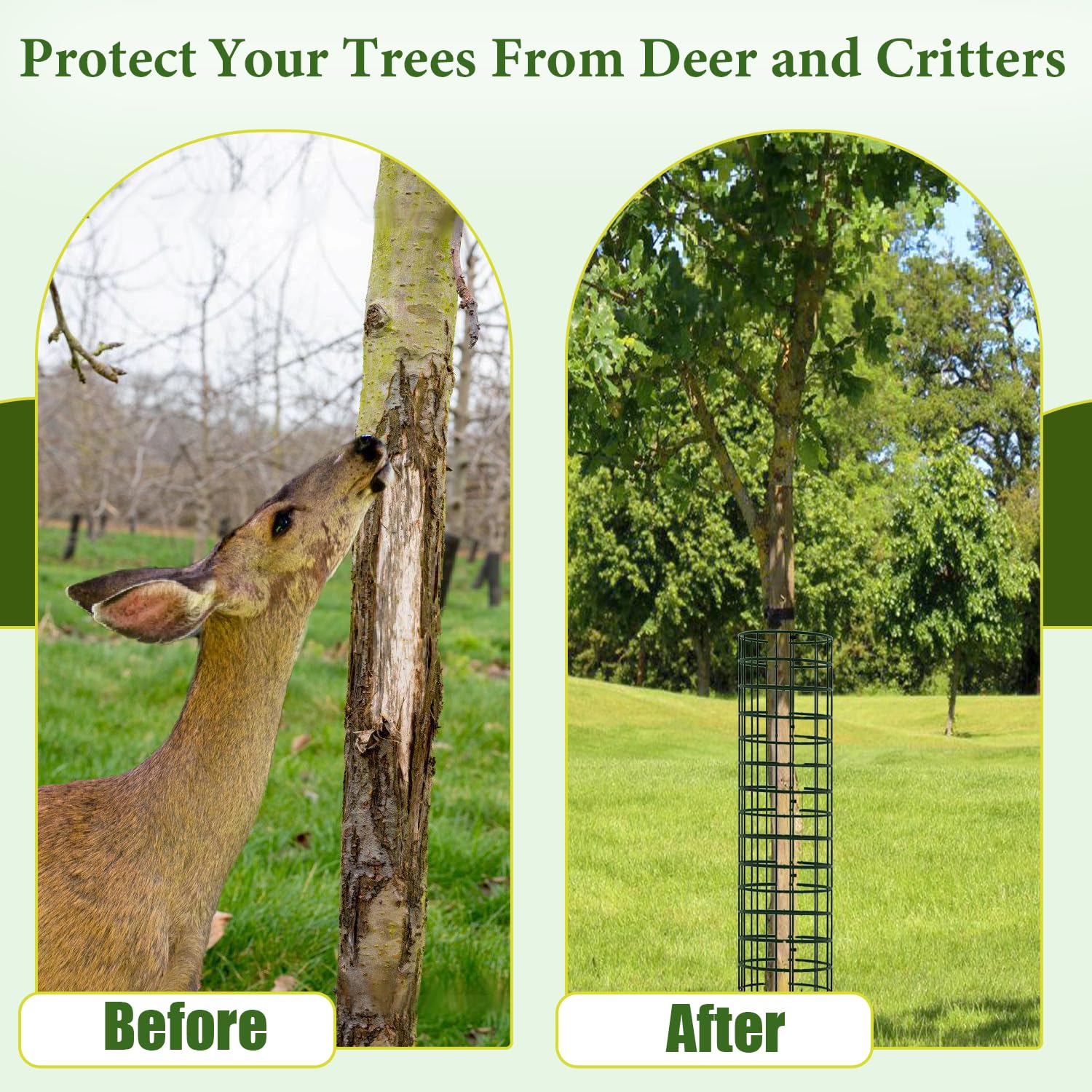 Expandable guard fits 5-inch trunk diameter for versatile growth.