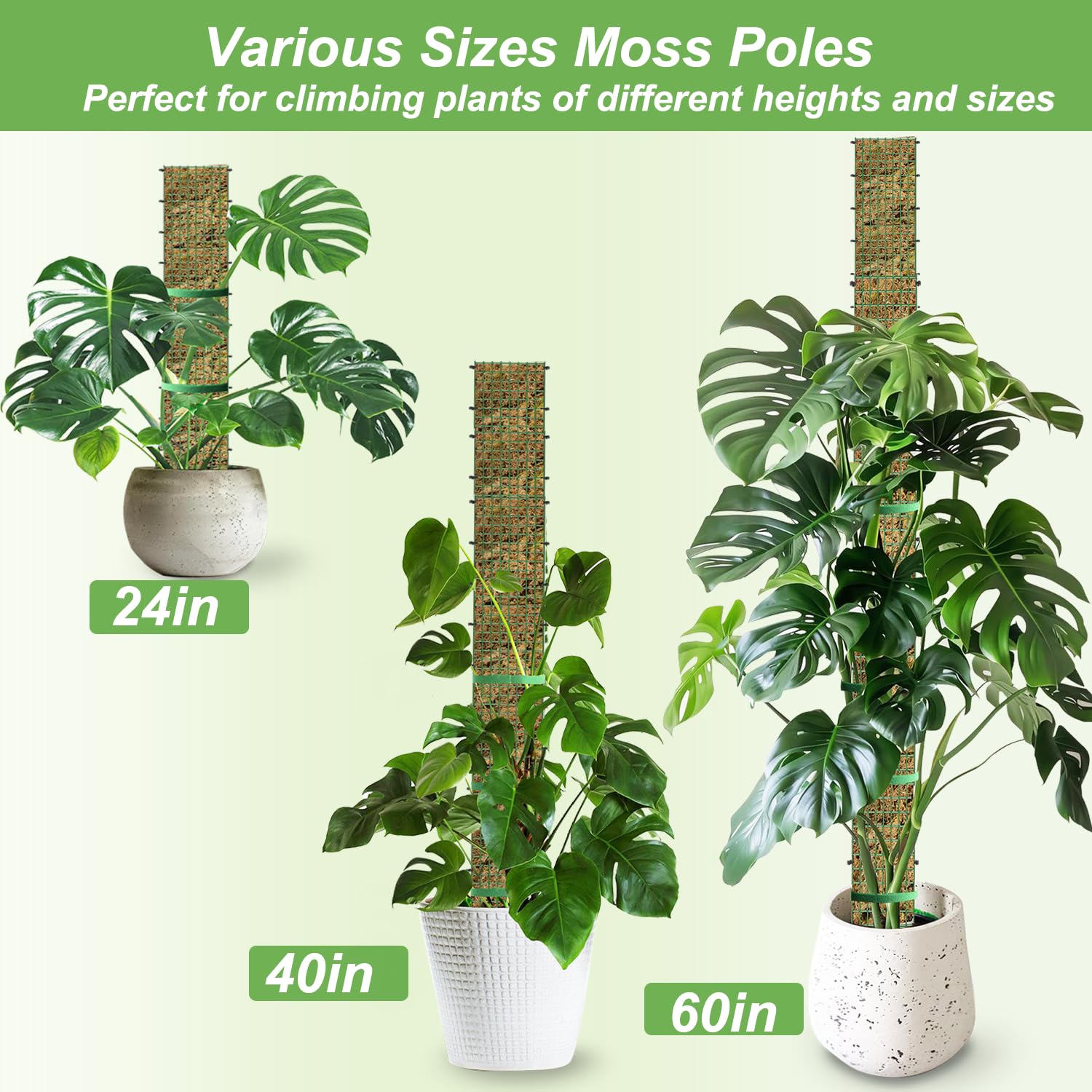 HOLANHING metal mesh pole provides strong support for tall indoor climbers