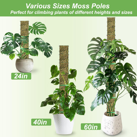 HOLANHING metal mesh pole provides strong support for tall indoor climbers