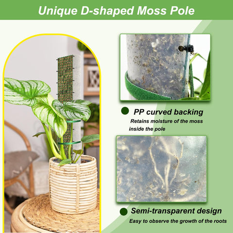 HOLANHING metal mesh moss pole provides durable indoor plant support for climbing varieties