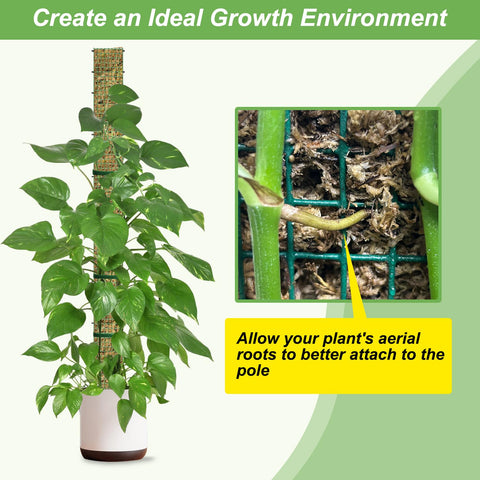 HOLANHING 24-inch moss pole fits Monstera and pothos for vertical growth.