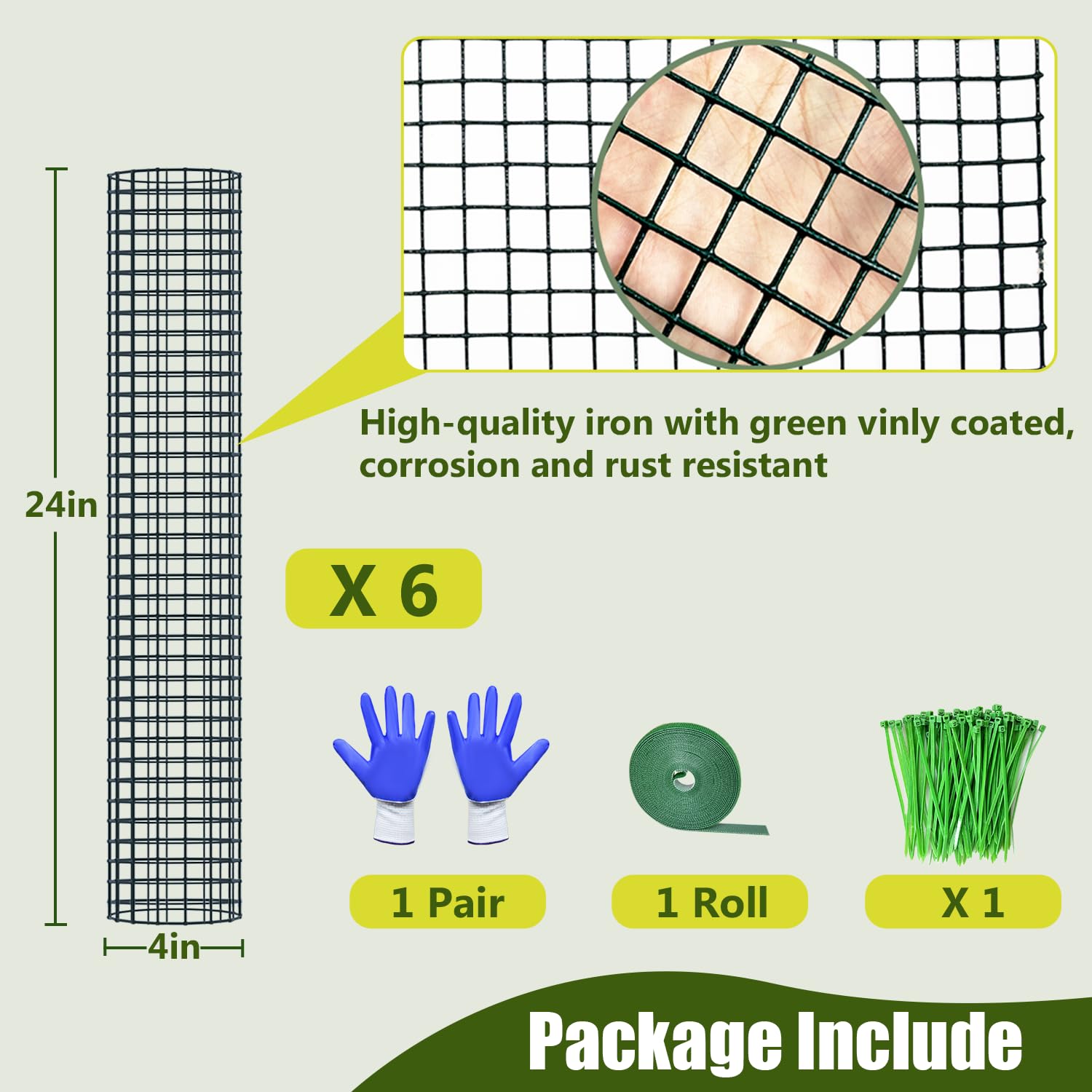 HOLANHING Monstera training with moss pole promotes upright growth toward light