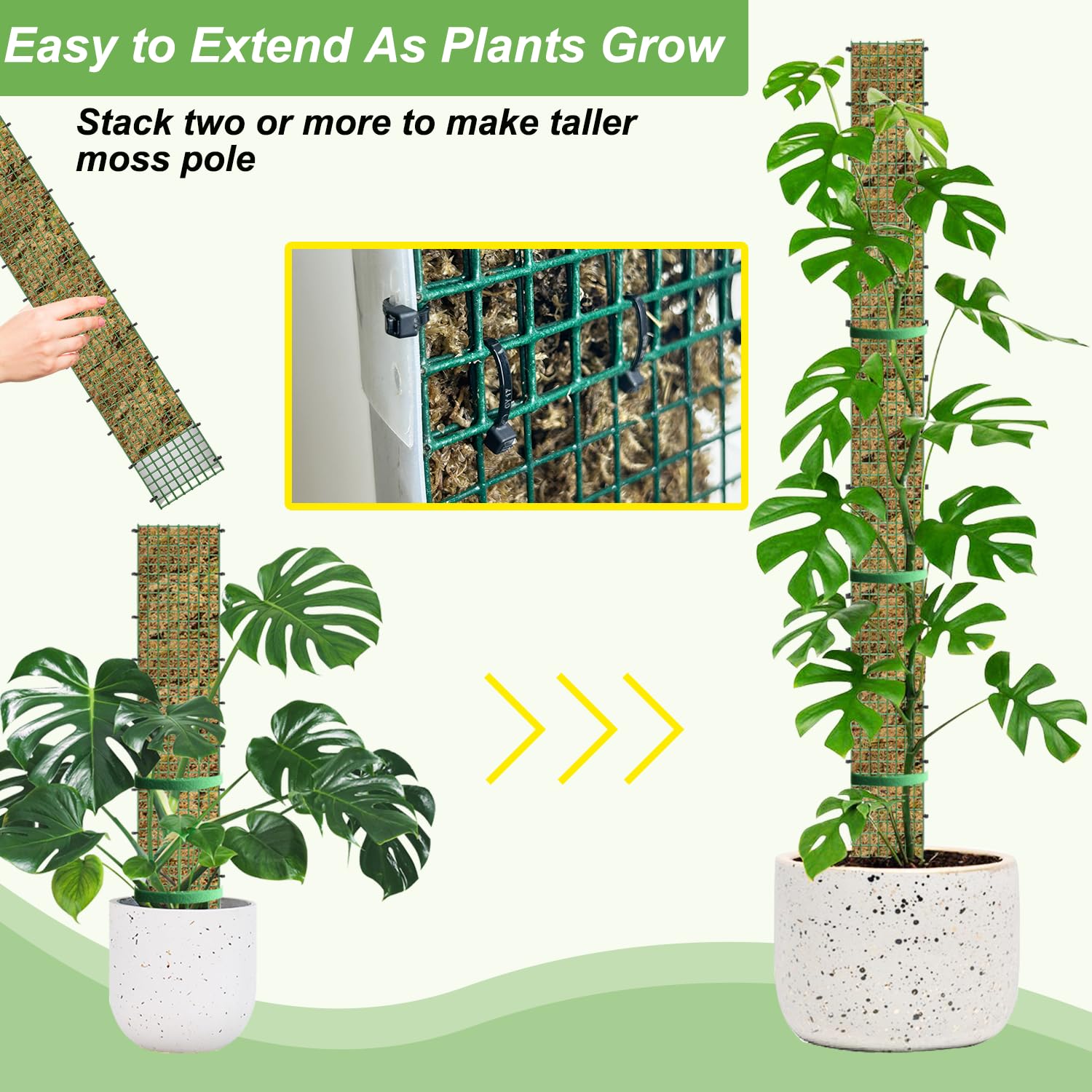 HOLANHING moss pole assembly guide keeps plants supported.