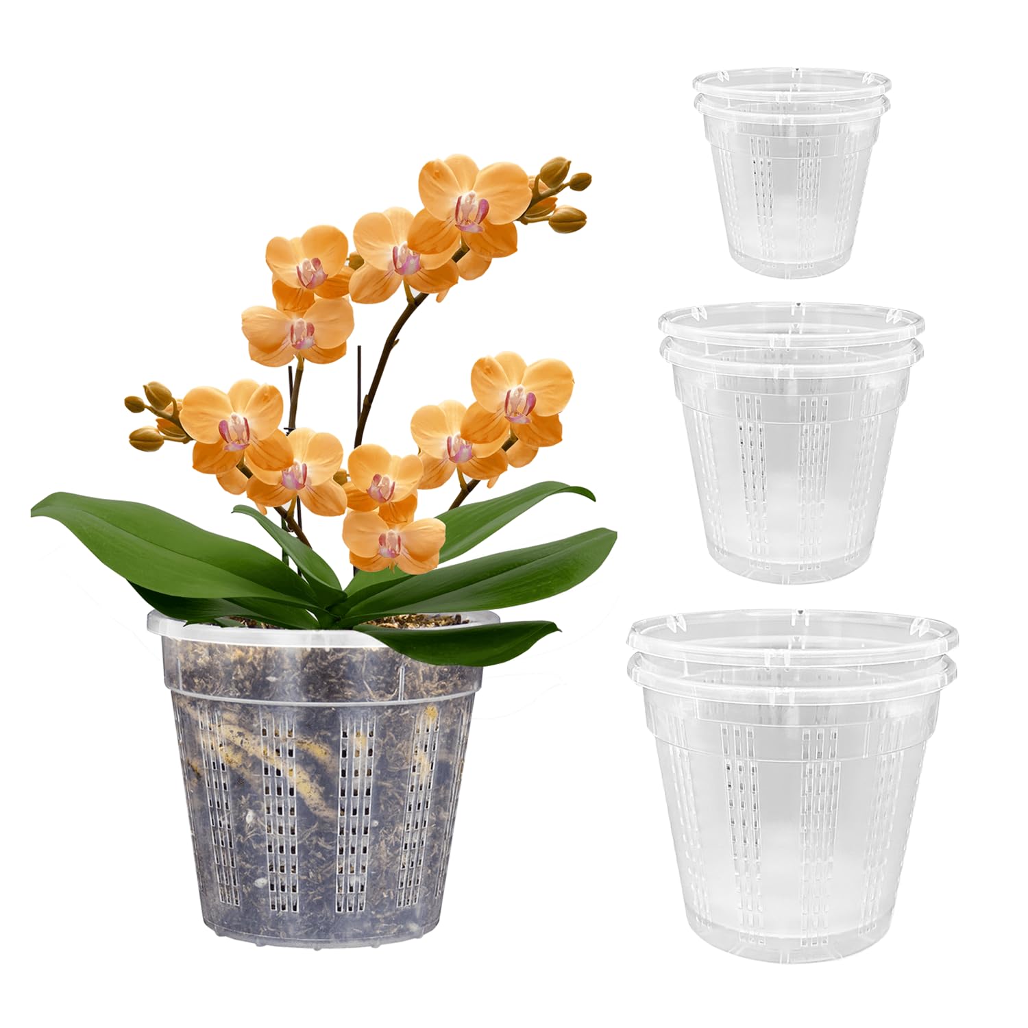 HOLANHING orchid pot 4.3 inch clear reveals roots and moisture for easy monitoring