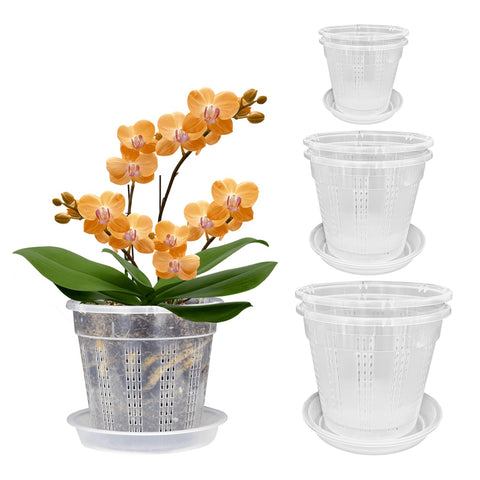 HOLANHING orchid pot 4-3 inch clear shows root patterns for easy monitoring and care
