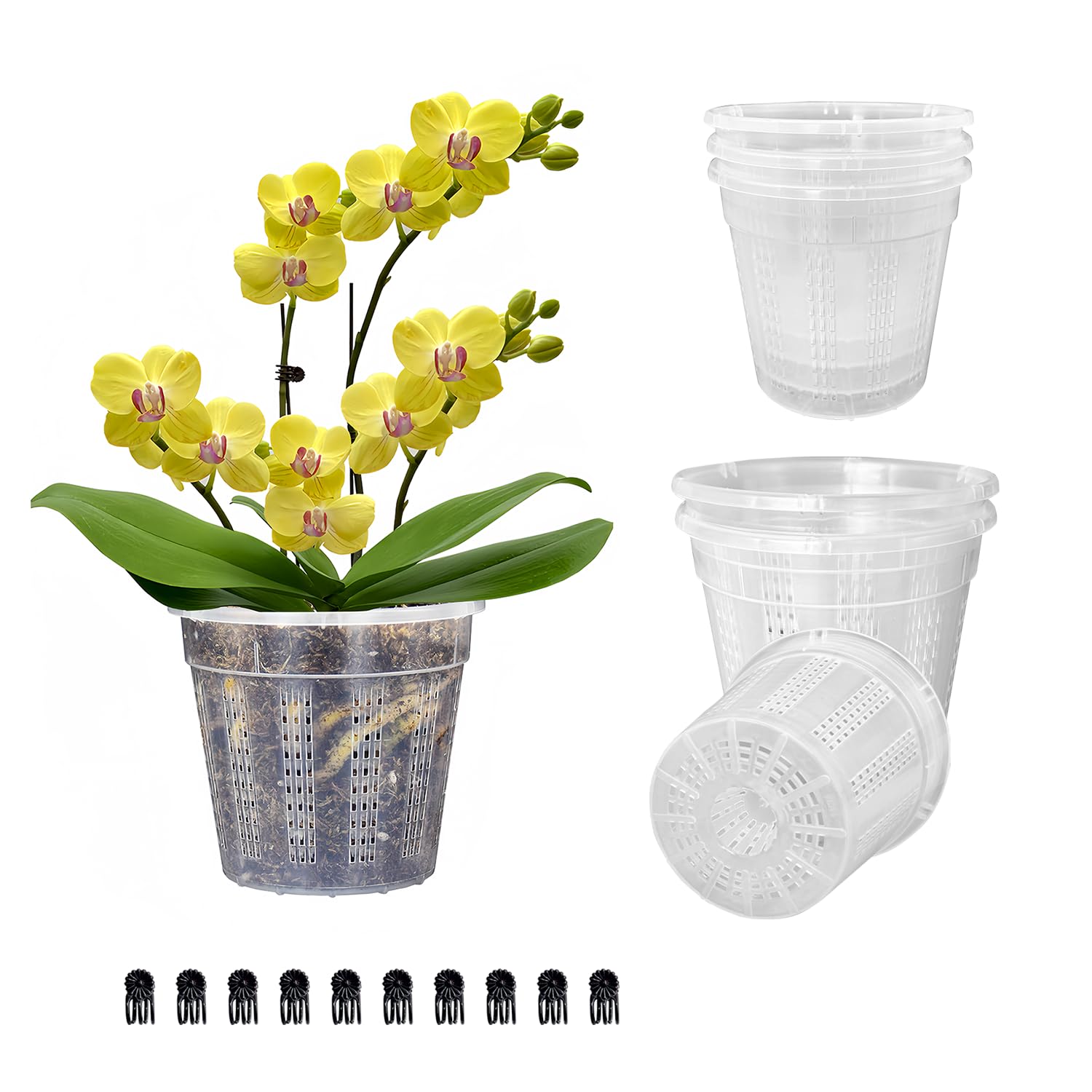 HOLANHING orchid pot 4.3-inch set for compact repotting and neat display.