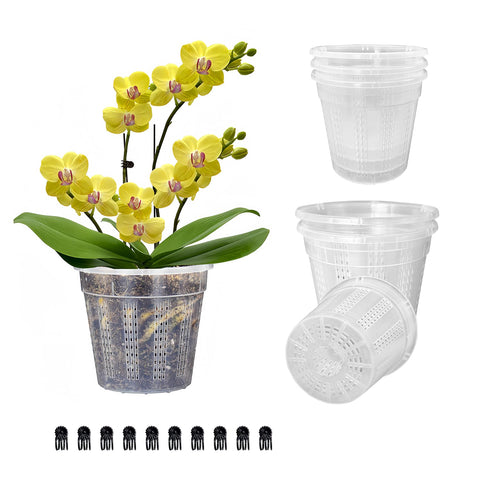 HOLANHING orchid pot 4.3-inch set for compact repotting and neat display.