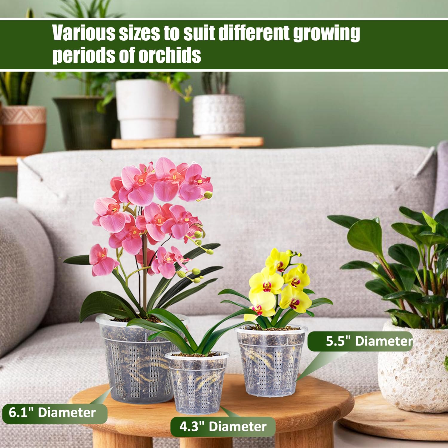 HOLANHING orchid pot 5.5 inch clear shows root health and soil moisture