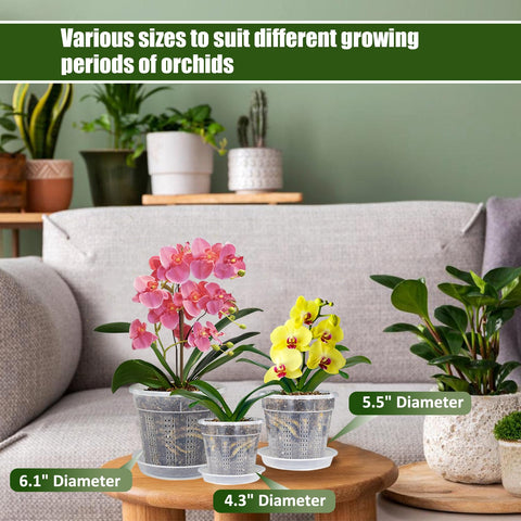 HOLANHING orchid pot 5-5 inch clear supports healthy drainage with visible water flow