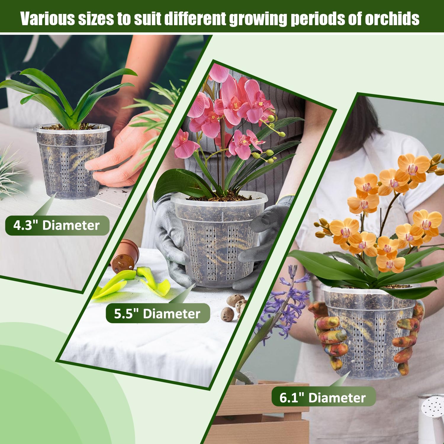HOLANHING clip set included aids stable potting during repotting