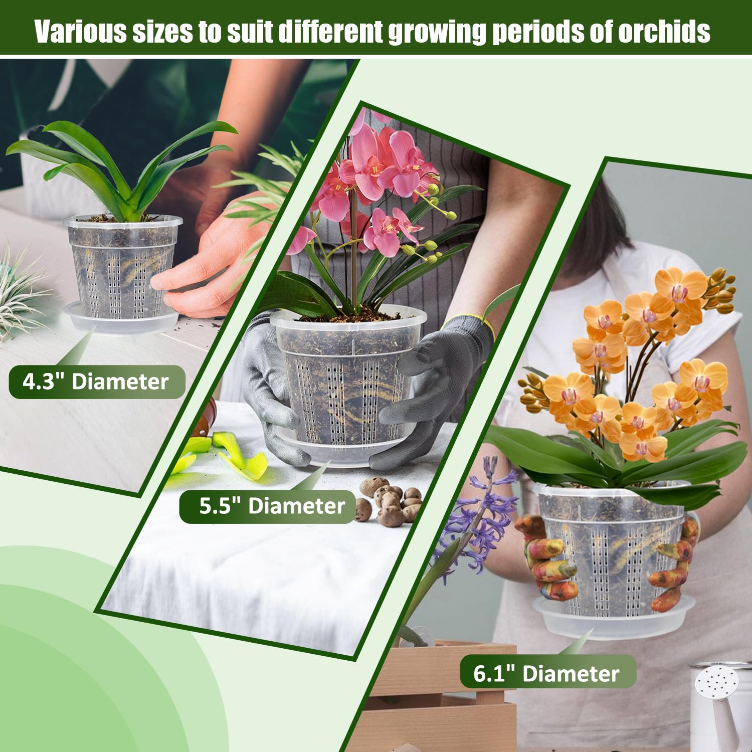 HOLANHING orchid pot drainage vents demonstrate efficient water management on patios
