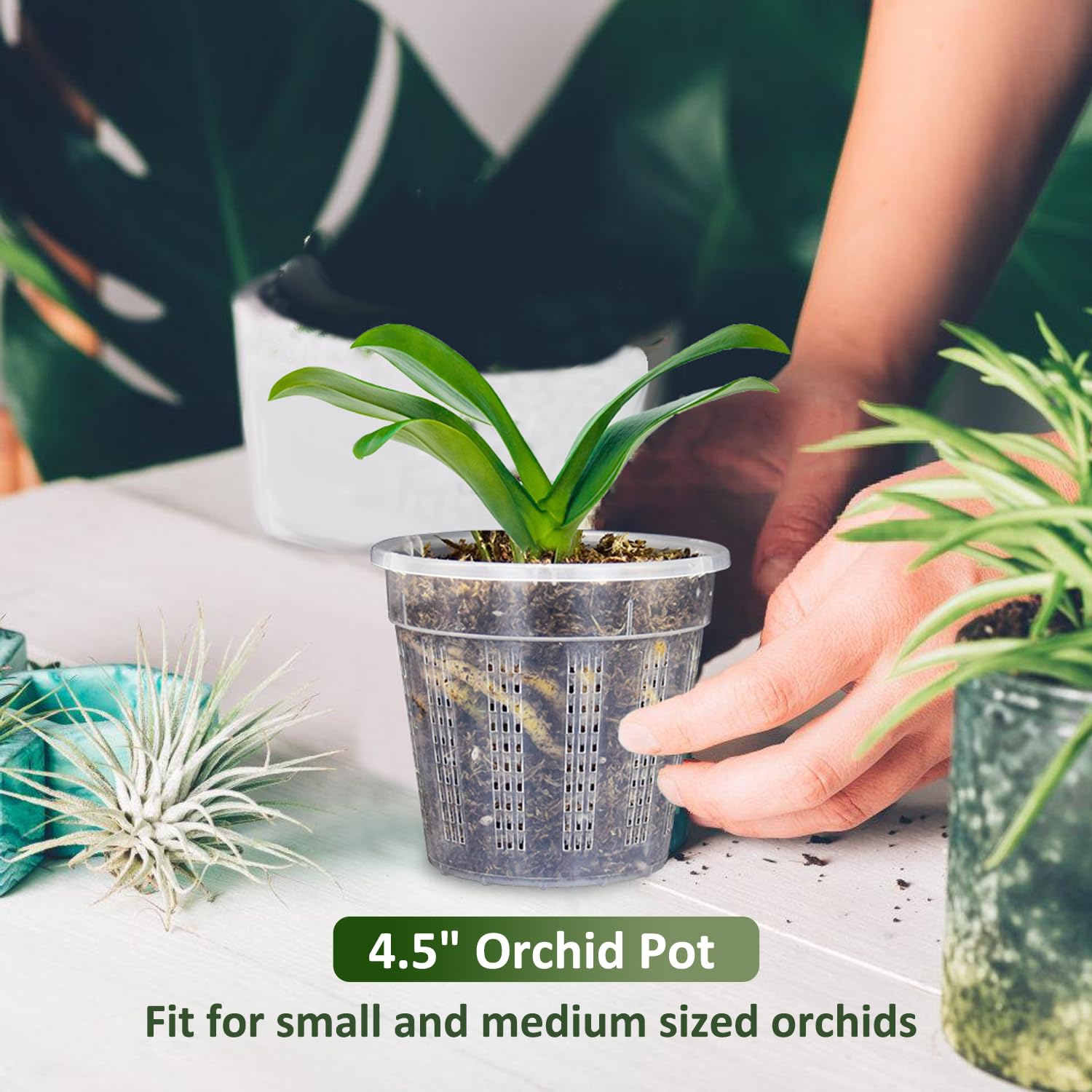 HOLANHING orchid pot holes-surface highlight promotes controlled root growth.