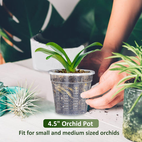 HOLANHING orchid pot holes-surface highlight promotes controlled root growth.