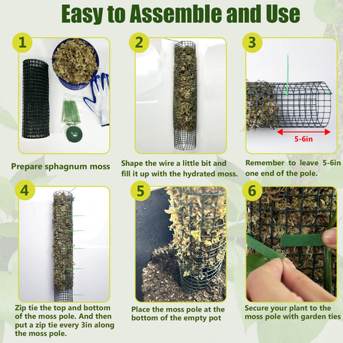 HOLANHING ideal for climbing plants like Monstera and Pothos.