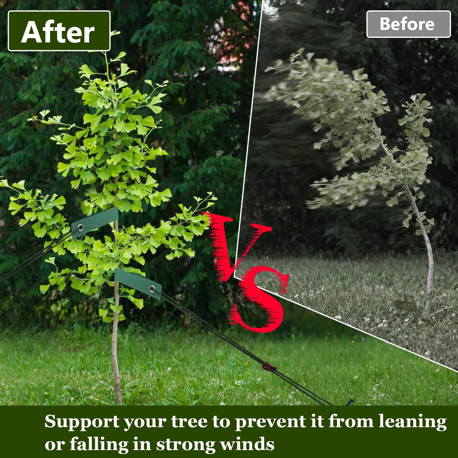 HOLANHING complete kit helps saplings grow straight and strong