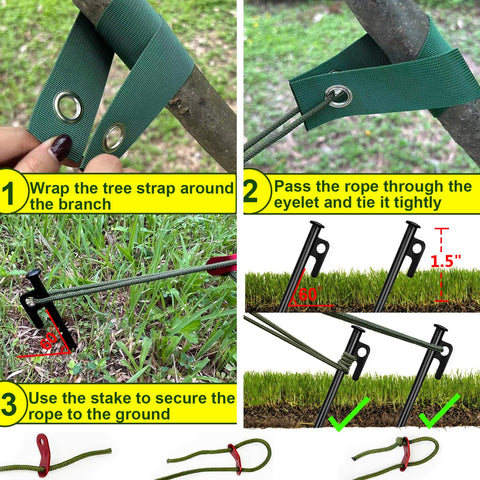 HOLANHING kit protects young trees from harsh weather conditions