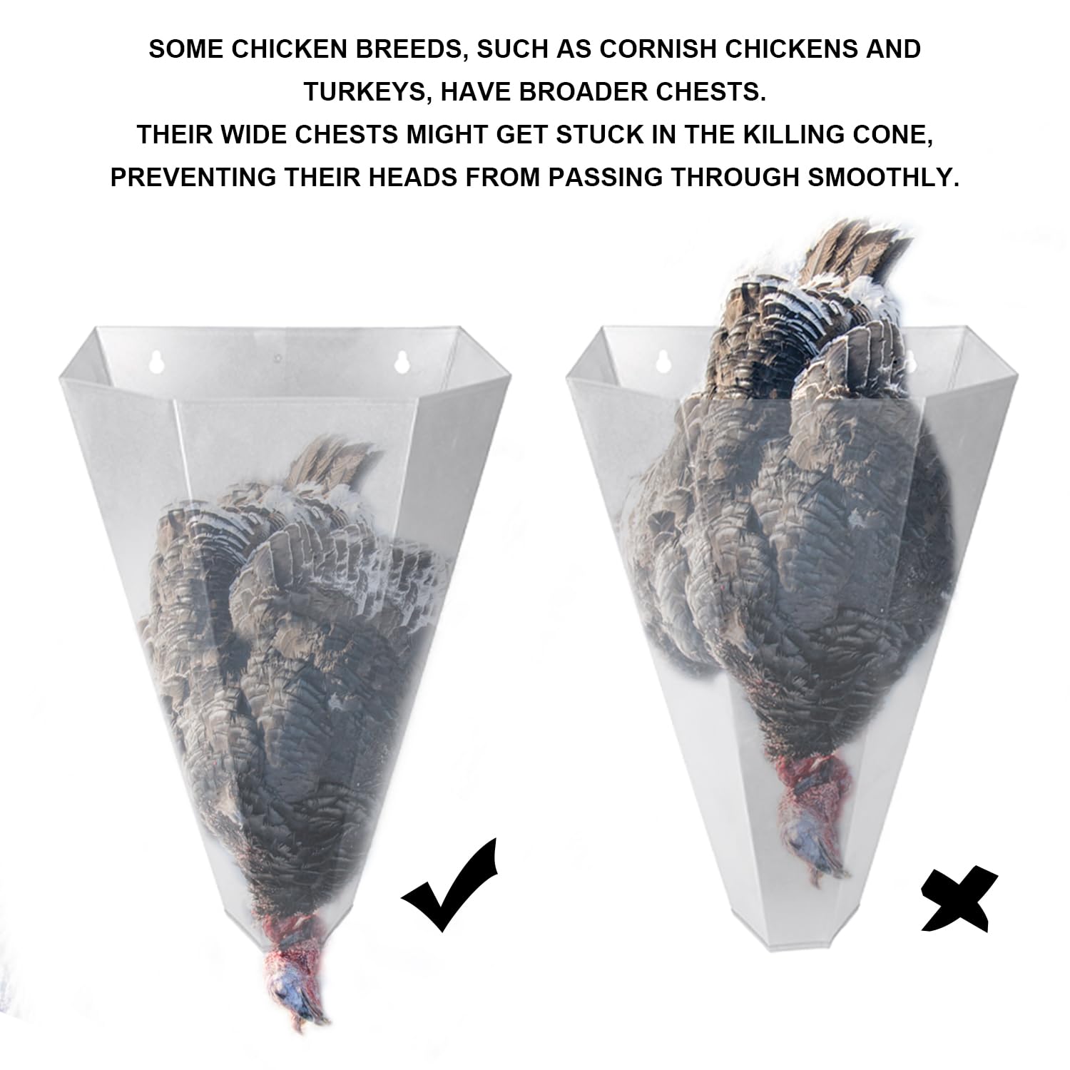 Holdly easy to clean poultry cone suitable for busy setups.
