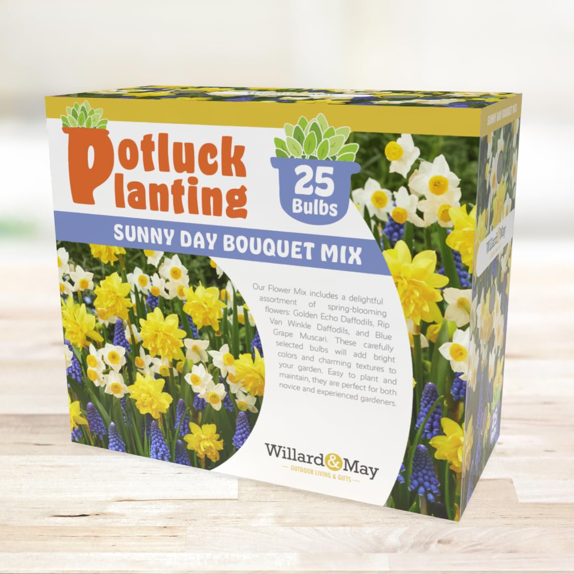 Holland Bulb Farms mixed blooms add vibrant curb appeal to beds