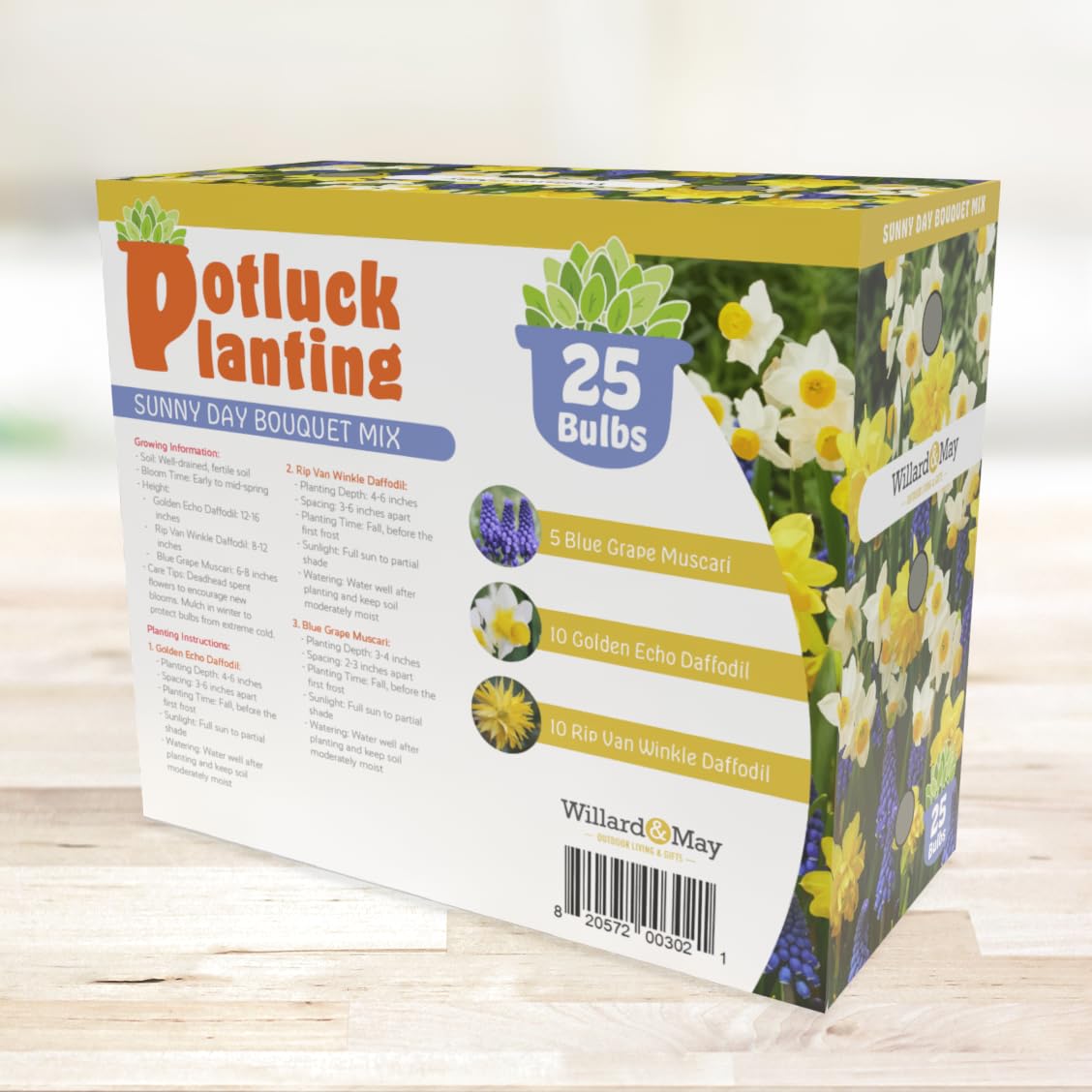 Holland Bulb Farms Rip Van Winkle daffodils form a naturalizing border