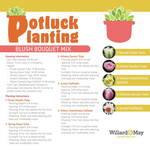 Holland Bulb Farms Spring Green Tulips add bright, fresh hues.