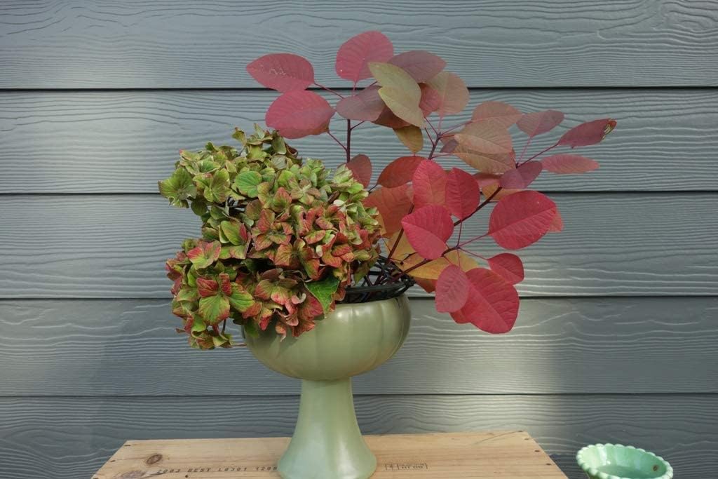 Holly Heider Chapple DIY wedding floral cage supports stems.