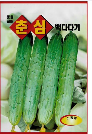 Holtgarden Cucumber Seed Korean 2pack seed packets ready for spring planting.