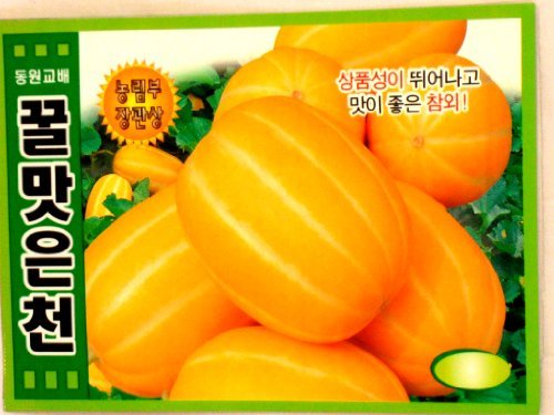 Holtgarden melon seeds Korean 2-pack for easy home gardening and fresh harvests.