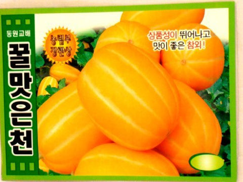 Holtgarden melon seeds Korean 2-pack for easy home gardening and fresh harvests.