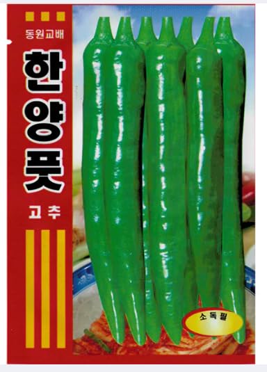 holtgarden Korean pepper seeds 4g pack for home growing and flavorful harvest