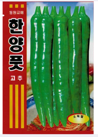 holtgarden Korean pepper seeds 4g pack for home growing and flavorful harvest