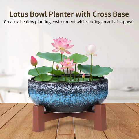 Homaisson ceramic water bowl with starry texture highlights elegant decor